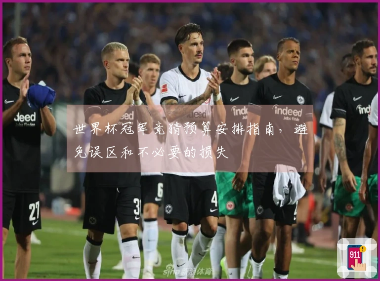 世界杯冠军竞猜预算安排指南，避免误区和不必要的损失