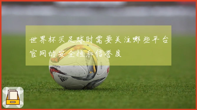 世界杯买足球时需要关注哪些平台官网的安全性和信誉度