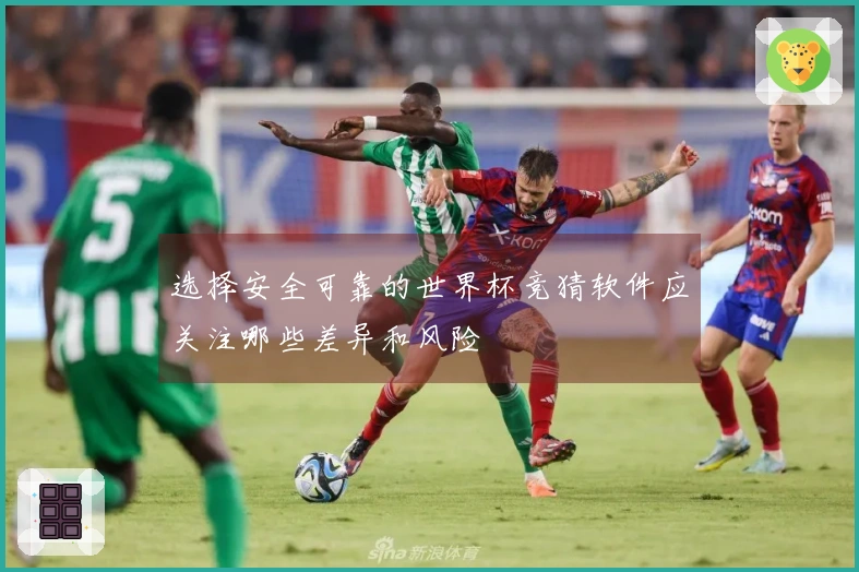 选择安全可靠的世界杯竞猜软件应关注哪些差异和风险